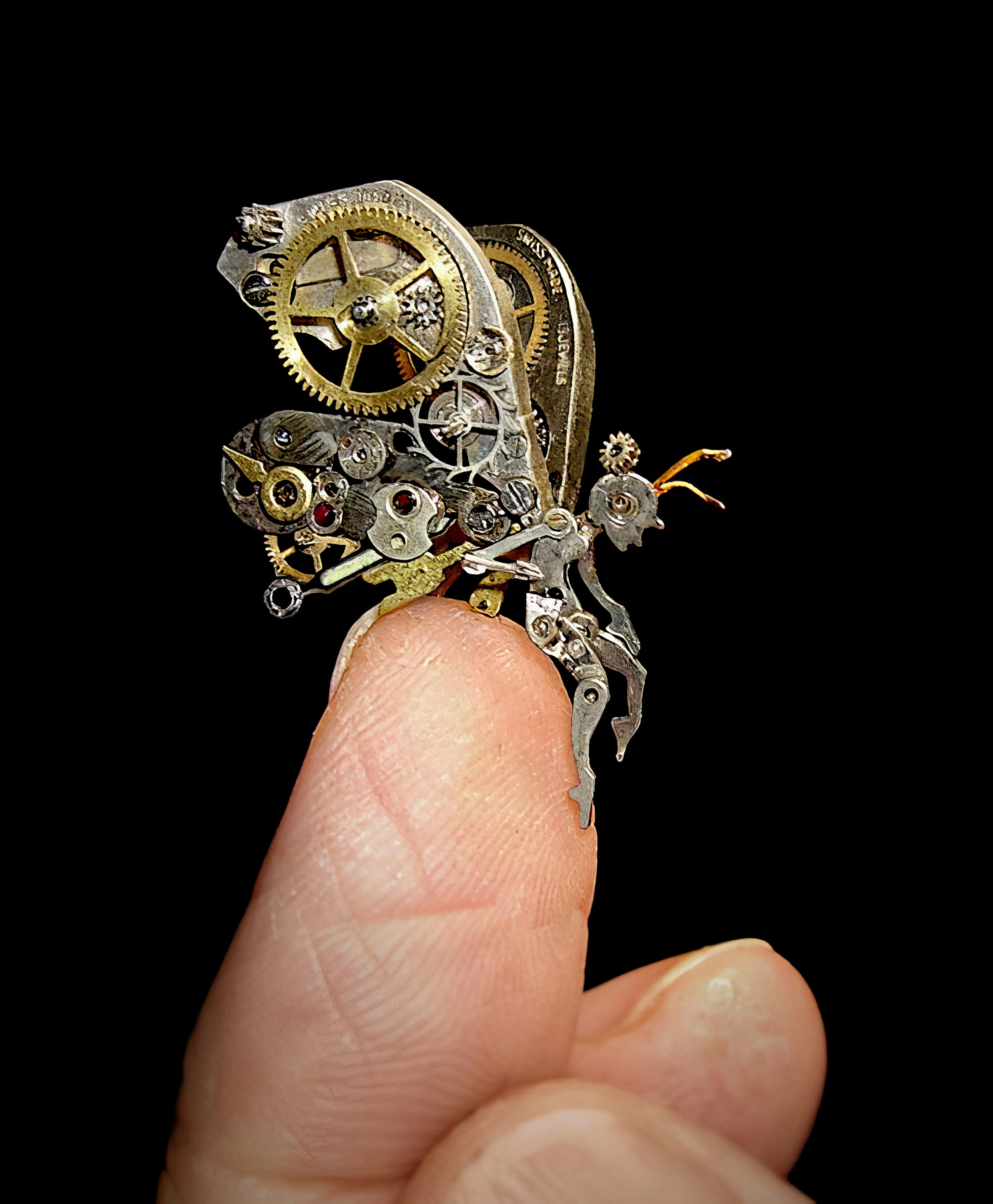 Fairy on My Finger